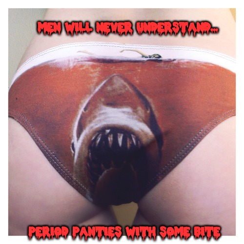 MEN WILL NEVER UNDERSTAND... PERIOD PANTIES WITH SOME BITE | made w/ Imgflip meme maker