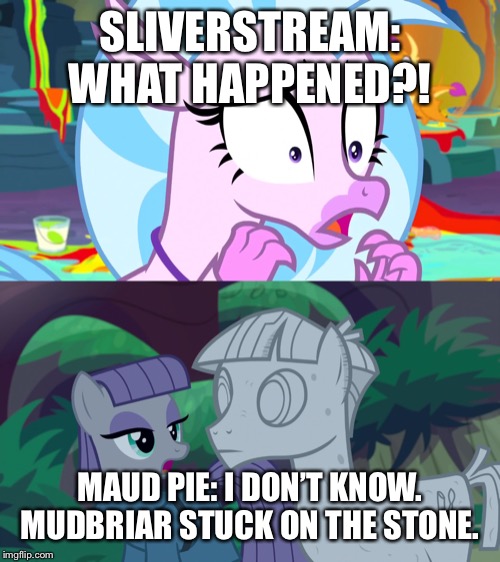 SLIVERSTREAM: WHAT HAPPENED?! MAUD PIE: I DON’T KNOW. MUDBRIAR STUCK ON THE STONE. | image tagged in mlp fim,maud is interested | made w/ Imgflip meme maker