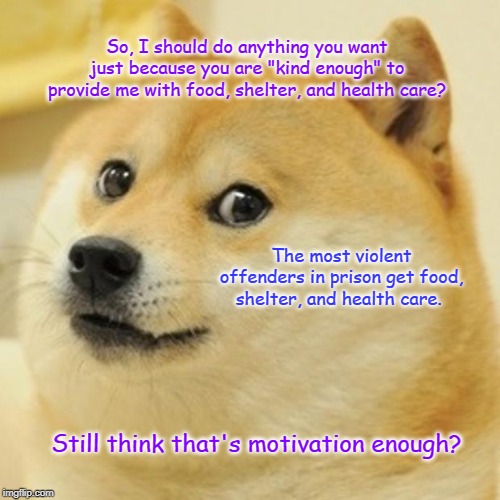 Doge | So, I should do anything you want just because you are "kind enough" to provide me with food, shelter, and health care? The most violent offenders in prison get food, shelter, and health care. Still think that's motivation enough? | image tagged in memes,doge | made w/ Imgflip meme maker