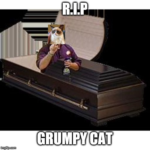 R.I.P. Billy Mays | R.I.P GRUMPY CAT | image tagged in rip billy mays | made w/ Imgflip meme maker