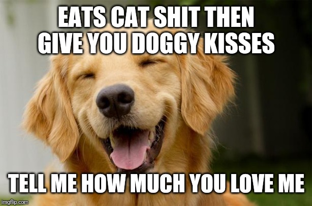 Happy Dog | EATS CAT SHIT THEN GIVE YOU DOGGY KISSES; TELL ME HOW MUCH YOU LOVE ME | image tagged in happy dog | made w/ Imgflip meme maker