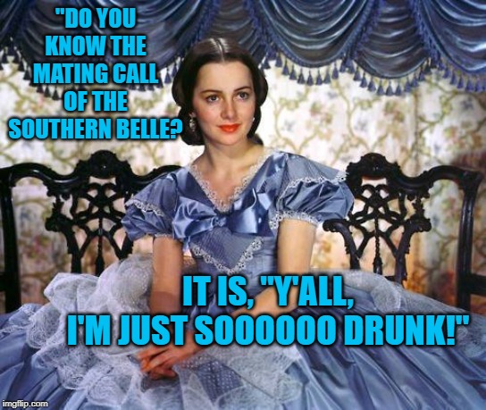 Southern Belle | "DO YOU KNOW THE MATING CALL OF THE SOUTHERN BELLE? IT IS, "Y'ALL, I'M JUST SOOOOOO DRUNK!" | image tagged in southern belle | made w/ Imgflip meme maker