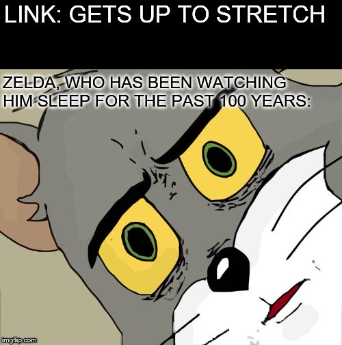 Unsettled Tom | LINK: GETS UP TO STRETCH; ZELDA, WHO HAS BEEN WATCHING HIM SLEEP FOR THE PAST 100 YEARS: | image tagged in memes,unsettled tom | made w/ Imgflip meme maker