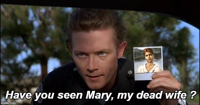 T 1000 | Have you seen Mary, my dead wife ? | image tagged in t 1000,silent hill | made w/ Imgflip meme maker