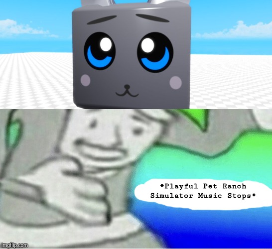 Excuse me wtf blank template | *Playful Pet Ranch Simulator Music Stops* | image tagged in excuse me wtf blank template | made w/ Imgflip meme maker