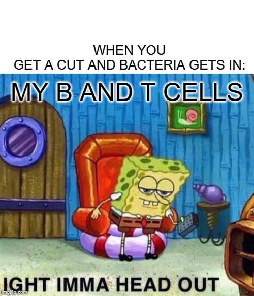 The Human Body | WHEN YOU GET A CUT AND BACTERIA GETS IN:; MY B AND T CELLS | image tagged in memes,spongebob ight imma head out,bacteria,spongebob,science,fun | made w/ Imgflip meme maker