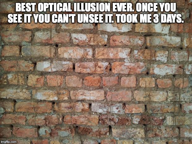 Brick wall |  BEST OPTICAL ILLUSION EVER. ONCE YOU SEE IT YOU CAN'T UNSEE IT. TOOK ME 3 DAYS. | image tagged in brick wall | made w/ Imgflip meme maker