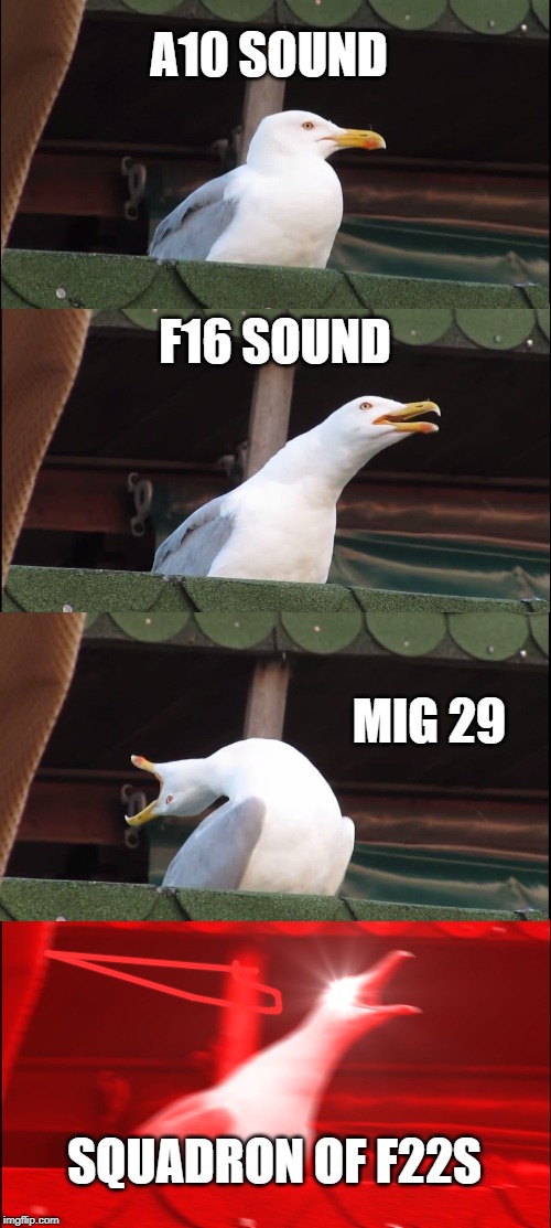Inhaling Seagull | A10 SOUND; F16 SOUND; MIG 29; SQUADRON OF F22S | image tagged in memes,inhaling seagull | made w/ Imgflip meme maker