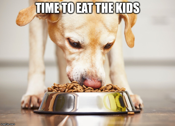 Dog eating dog food kibble | TIME TO EAT THE KIDS | image tagged in dog eating dog food kibble | made w/ Imgflip meme maker