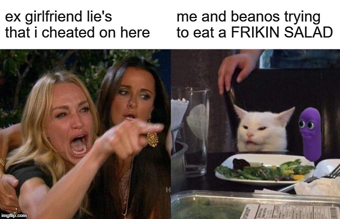 Woman Yelling At Cat | ex girlfriend lie's that i cheated on here; me and beanos trying to eat a FRIKIN SALAD | image tagged in memes,woman yelling at a cat | made w/ Imgflip meme maker