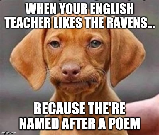 Frustrated dog | WHEN YOUR ENGLISH TEACHER LIKES THE RAVENS... BECAUSE THE'RE NAMED AFTER A POEM | image tagged in frustrated dog | made w/ Imgflip meme maker