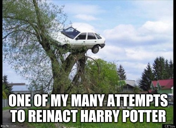 Secure Parking | ONE OF MY MANY ATTEMPTS TO REINACT HARRY POTTER | image tagged in memes,secure parking | made w/ Imgflip meme maker