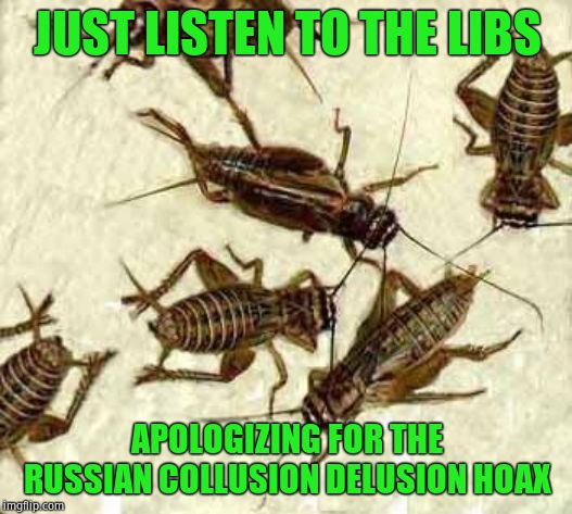 Crickets | JUST LISTEN TO THE LIBS APOLOGIZING FOR THE RUSSIAN COLLUSION DELUSION HOAX | image tagged in crickets | made w/ Imgflip meme maker