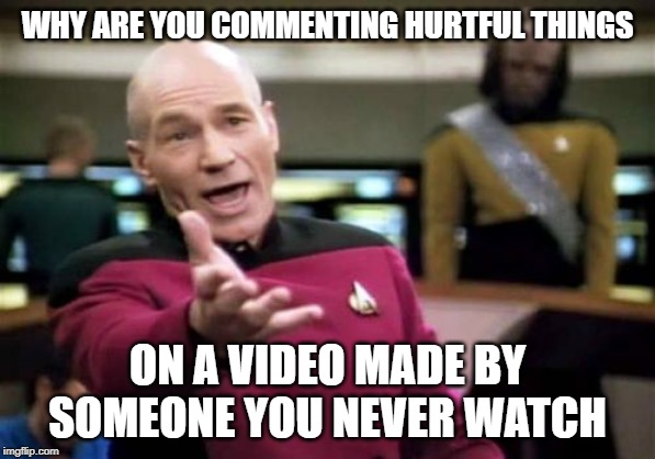 Hate Comments for No Reason | WHY ARE YOU COMMENTING HURTFUL THINGS; ON A VIDEO MADE BY SOMEONE YOU NEVER WATCH | image tagged in memes,picard wtf | made w/ Imgflip meme maker
