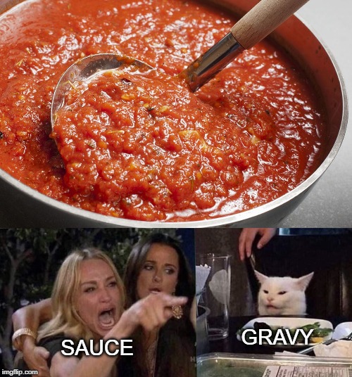  GRAVY; SAUCE | image tagged in woman yelling at cat | made w/ Imgflip meme maker