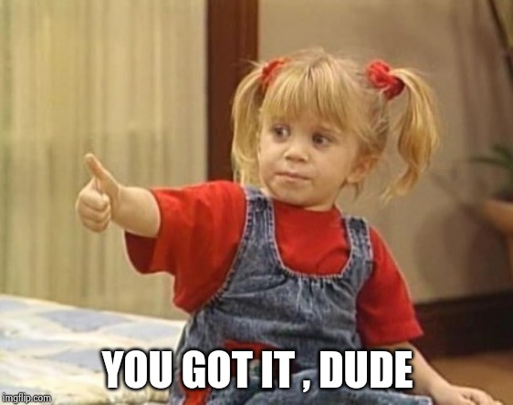 You got it... | YOU GOT IT , DUDE | image tagged in you got it | made w/ Imgflip meme maker