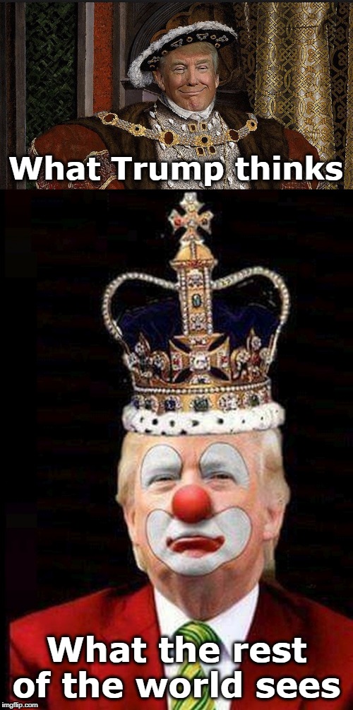 He should see what we see | What Trump thinks; What the rest of the world sees | image tagged in trump king,delusion,crazy,fantasy,nuts,insane | made w/ Imgflip meme maker