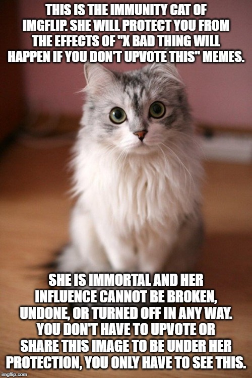 Got the idea from Tumblr | THIS IS THE IMMUNITY CAT OF IMGFLIP. SHE WILL PROTECT YOU FROM THE EFFECTS OF "X BAD THING WILL HAPPEN IF YOU DON'T UPVOTE THIS" MEMES. SHE IS IMMORTAL AND HER INFLUENCE CANNOT BE BROKEN, UNDONE, OR TURNED OFF IN ANY WAY.
YOU DON'T HAVE TO UPVOTE OR SHARE THIS IMAGE TO BE UNDER HER PROTECTION, YOU ONLY HAVE TO SEE THIS. | image tagged in cute cat memes,immunity cat | made w/ Imgflip meme maker