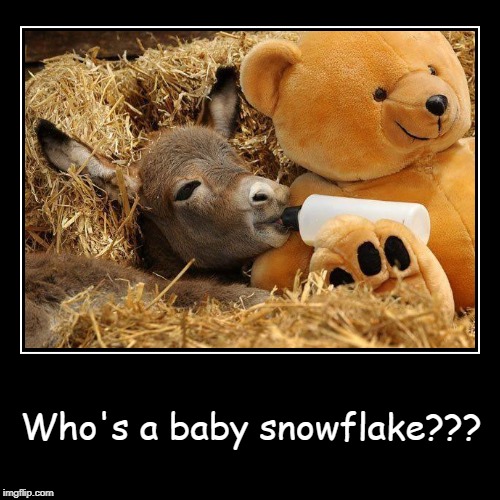 Ahhh... | image tagged in funny,demotivationals,snowflake,baby | made w/ Imgflip demotivational maker