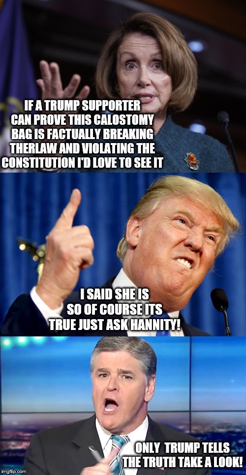 IF A TRUMP SUPPORTER CAN PROVE THIS CALOSTOMY BAG IS FACTUALLY BREAKING THERLAW AND VIOLATING THE CONSTITUTION I'D LOVE TO SEE IT; I SAID SHE IS SO OF COURSE ITS TRUE JUST ASK HANNITY! ONLY  TRUMP TELLS THE TRUTH TAKE A LOOK! | image tagged in donald trump,good old nancy pelosi,hannity yelling | made w/ Imgflip meme maker