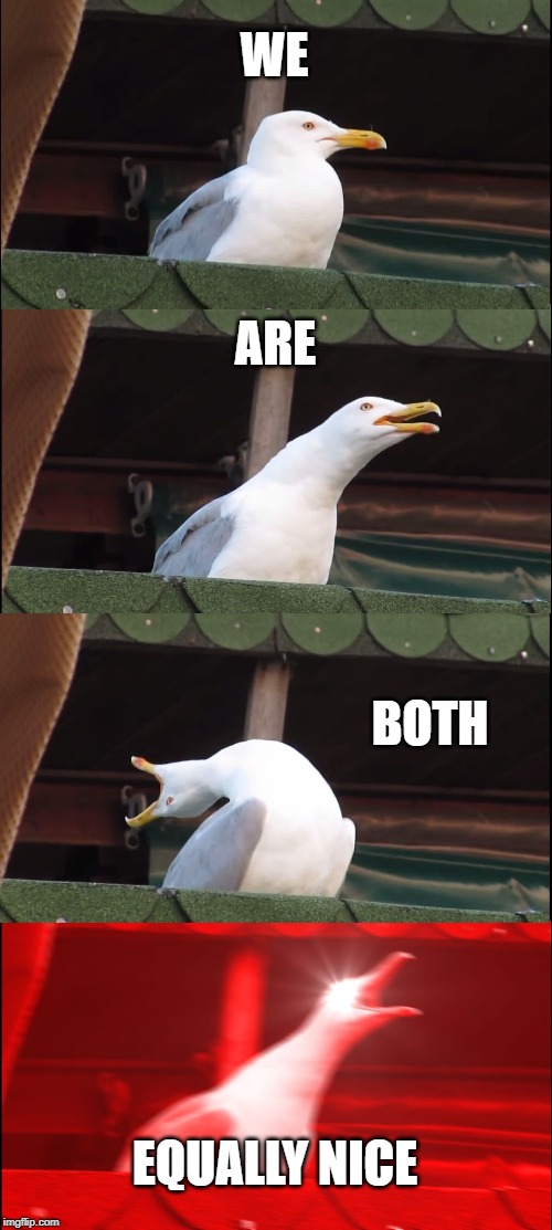 WE ARE BOTH EQUALLY NICE | image tagged in memes,inhaling seagull | made w/ Imgflip meme maker