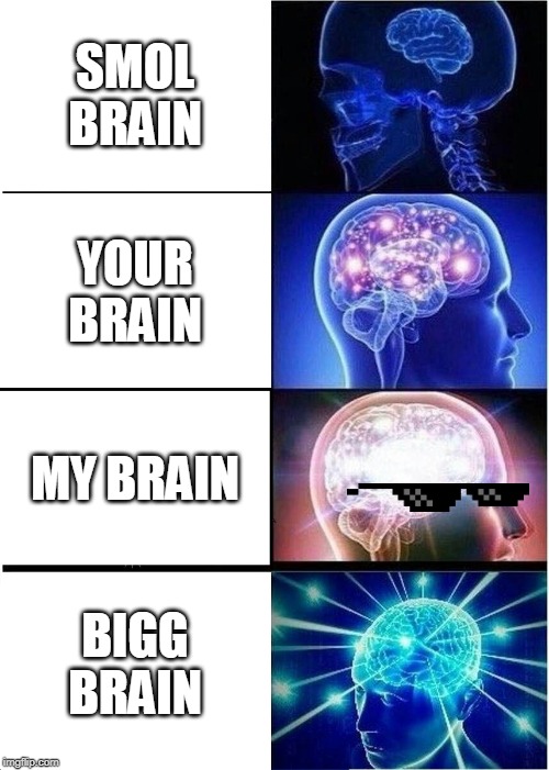 Expanding Brain Meme | SMOL BRAIN; YOUR BRAIN; MY BRAIN; BIGG BRAIN | image tagged in memes,expanding brain | made w/ Imgflip meme maker
