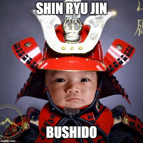 Shin Ryu Jin Lim | SHIN RYU JIN; BUSHIDO | image tagged in shin ryu jin lim | made w/ Imgflip meme maker