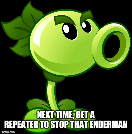 Repeater | NEXT TIME, GET A REPEATER TO STOP THAT ENDERMAN | image tagged in repeater | made w/ Imgflip meme maker