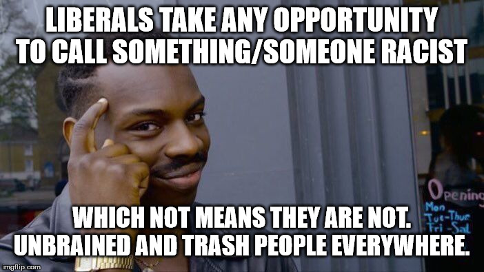 Roll Safe Think About It Meme | LIBERALS TAKE ANY OPPORTUNITY TO CALL SOMETHING/SOMEONE RACIST WHICH NOT MEANS THEY ARE NOT. UNBRAINED AND TRASH PEOPLE EVERYWHERE. | image tagged in memes,roll safe think about it | made w/ Imgflip meme maker