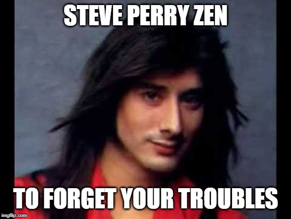 Steve Perry | STEVE PERRY ZEN; TO FORGET YOUR TROUBLES | image tagged in steve perry | made w/ Imgflip meme maker
