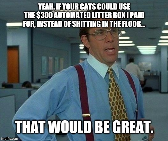 That Would Be Great | YEAH, IF YOUR CATS COULD USE THE $300 AUTOMATED LITTER BOX I PAID FOR, INSTEAD OF SHITTING IN THE FLOOR... THAT WOULD BE GREAT. | image tagged in memes,that would be great,cats | made w/ Imgflip meme maker