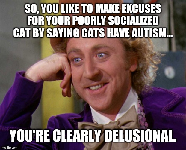 SO, YOU LIKE TO MAKE EXCUSES FOR YOUR POORLY SOCIALIZED CAT BY SAYING CATS HAVE AUTISM... YOU'RE CLEARLY DELUSIONAL. | image tagged in cats | made w/ Imgflip meme maker