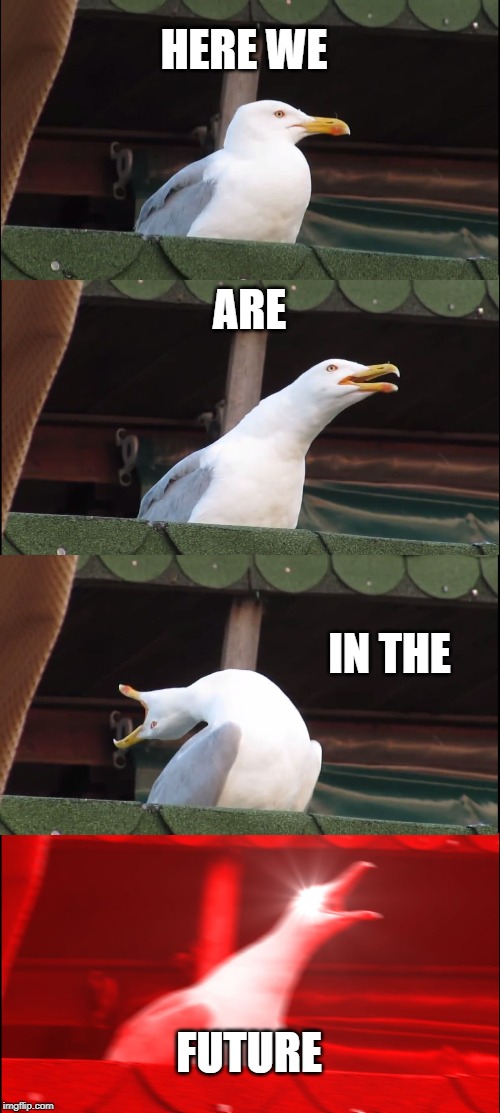 Inhaling Seagull | HERE WE; ARE; IN THE; FUTURE | image tagged in memes,inhaling seagull | made w/ Imgflip meme maker