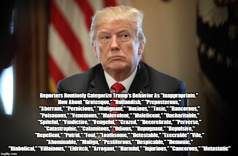 Reporters Routinely Categorize Trump's Behavior As "Inappropriate." 
How About "Grotesque," "Outlandish," "Preposterous," "Aberrant," "Perni | made w/ Imgflip meme maker