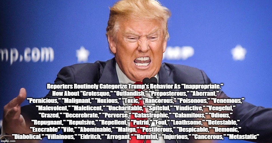 Reporters Routinely Categorize Trump's Behavior As "Inappropriate" | Reporters Routinely Categorize Trump's Behavior As "Inappropriate." 
How About "Grotesque," "Outlandish," "Preposterous," "Aberrant," "Pernicious," "Malignant," "Noxious," "Toxic," "Rancorous," "Poisonous," "Venemous," "Malevolent," "Maleficent," "Uncharitable," "Spiteful," "Vindictive," "Vengeful," "Crazed," "Decerebrate," "Perverse," "Catastrophic," "Calamitous," "Odious," "Repugnant," "Repulsive," "Repellent," "Putrid," "Foul," "Loathsome," "Detestable," "Execrable" "Vile," "Abominable," "Malign," "Pestiferous," "Despicable," "Demonic," "Diabolical," "Villainous," "Eldritch," "Arrogant," "Harmful," "Injurious," "Cancerous," "Metastatic" | image tagged in how to describe trump accurately,deplorable donald,despicable donald,dishonest donald,dishonorable donale,deranged donald | made w/ Imgflip meme maker