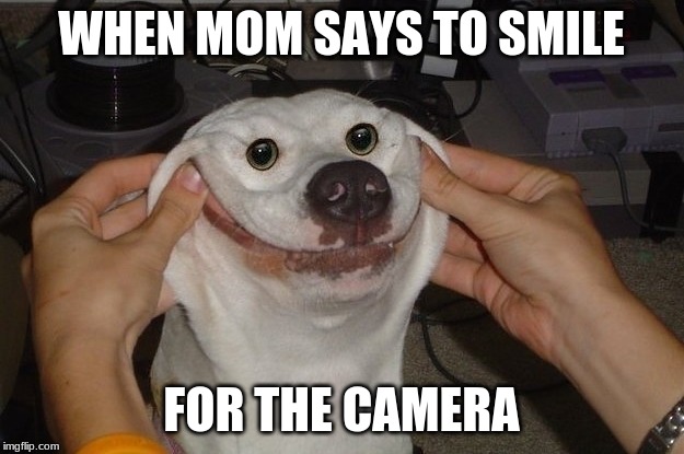  WHEN MOM SAYS TO SMILE; FOR THE CAMERA | image tagged in first world problems,first day of school,smile | made w/ Imgflip meme maker