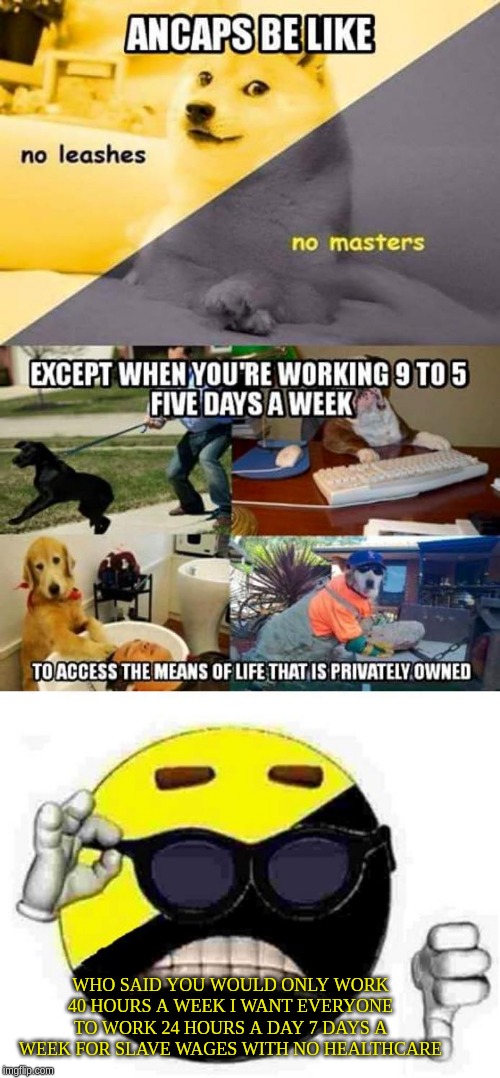 useful idiots | WHO SAID YOU WOULD ONLY WORK 40 HOURS A WEEK I WANT EVERYONE TO WORK 24 HOURS A DAY 7 DAYS A WEEK FOR SLAVE WAGES WITH NO HEALTHCARE | image tagged in ancap | made w/ Imgflip meme maker