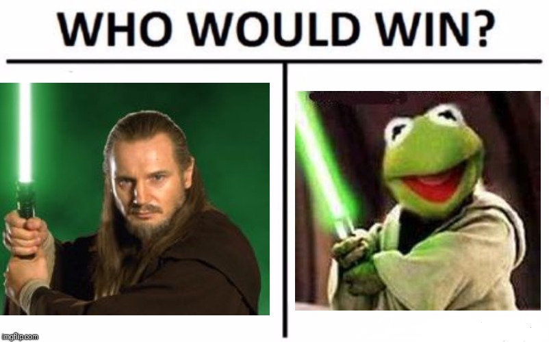 Who Would Win? Meme | image tagged in memes,who would win,liam neeson,kermit the frog | made w/ Imgflip meme maker