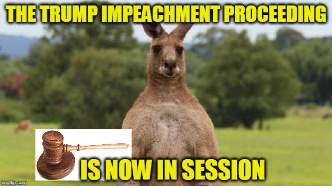 No Rules, Just Right for House Democrats | THE TRUMP IMPEACHMENT PROCEEDING; IS NOW IN SESSION | image tagged in kangaroo court,impeachment,adam schiff | made w/ Imgflip meme maker