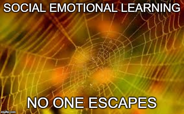 Spider Web | SOCIAL EMOTIONAL LEARNING; NO ONE ESCAPES | image tagged in spider web | made w/ Imgflip meme maker