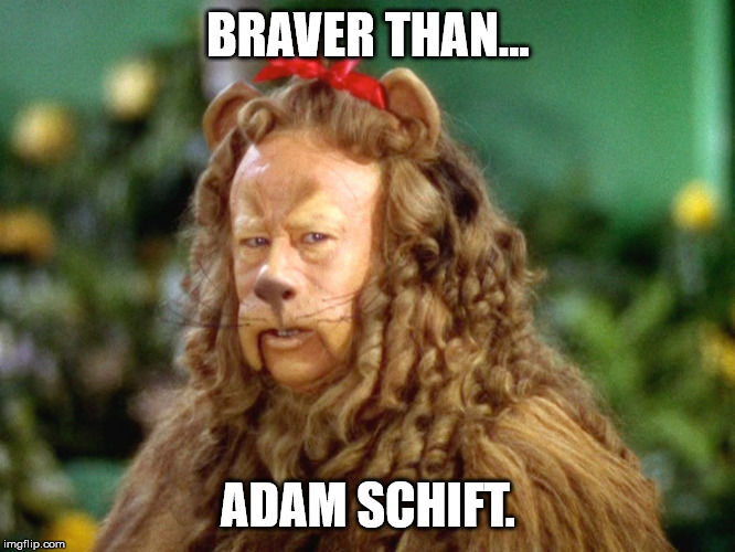 Wizard of Oz lion | BRAVER THAN... ADAM SCHIFT. | image tagged in wizard of oz lion | made w/ Imgflip meme maker