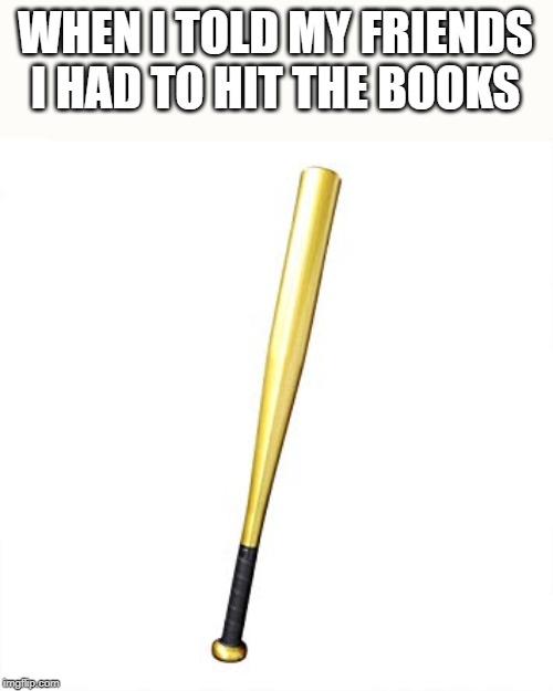 WHEN I TOLD MY FRIENDS I HAD TO HIT THE BOOKS | image tagged in sports | made w/ Imgflip meme maker