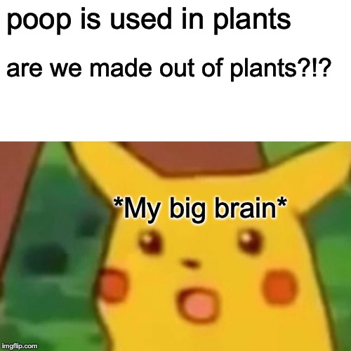 Surprised Pikachu Meme | poop is used in plants; are we made out of plants?!? *My big brain* | image tagged in memes,surprised pikachu | made w/ Imgflip meme maker