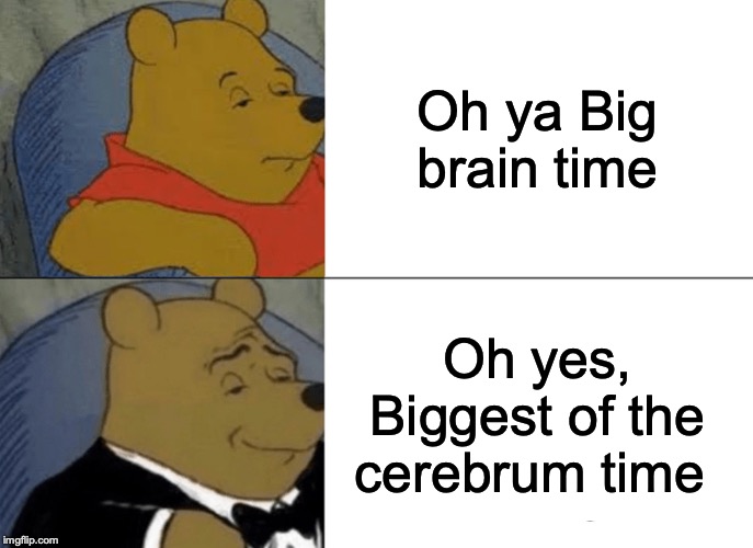 Tuxedo Winnie The Pooh Meme | Oh ya Big brain time; Oh yes, Biggest of the cerebrum time | image tagged in memes,tuxedo winnie the pooh | made w/ Imgflip meme maker