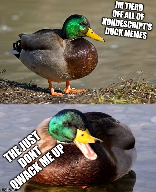 https://imgflip.com/i/3e6p44 | IM TIERD OFF ALL OF NONDESCRIPT'S DUCK MEMES; THE JUST DONT QWACK ME UP | image tagged in bad pun duck | made w/ Imgflip meme maker