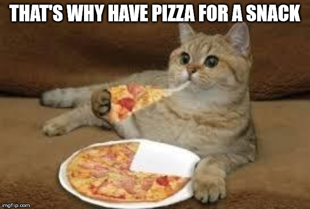 cat eats pizza | THAT'S WHY HAVE PIZZA FOR A SNACK | image tagged in cat eats pizza | made w/ Imgflip meme maker