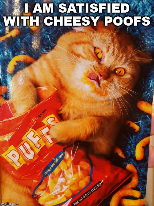 Cartman cat? | I AM SATISFIED WITH CHEESY POOFS | image tagged in cat eating cheetos,eric cartman | made w/ Imgflip meme maker