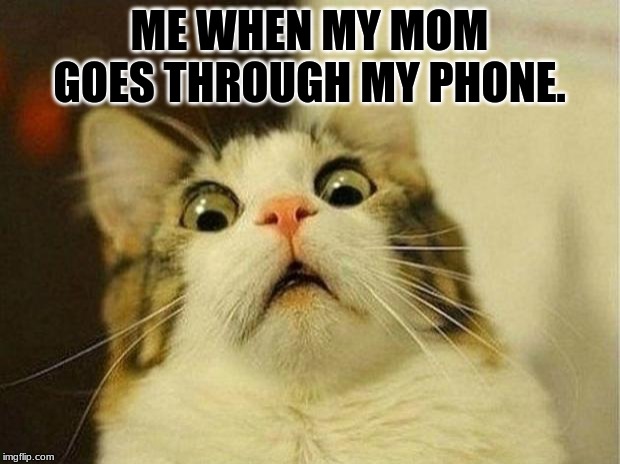 Scared Cat Meme | ME WHEN MY MOM GOES THROUGH MY PHONE. | image tagged in memes,scared cat | made w/ Imgflip meme maker