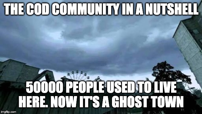 The Call of Duty community in a nutshell |  THE COD COMMUNITY IN A NUTSHELL; 50000 PEOPLE USED TO LIVE HERE. NOW IT'S A GHOST TOWN | image tagged in 50000 people used to live herenow it's a ghost town | made w/ Imgflip meme maker