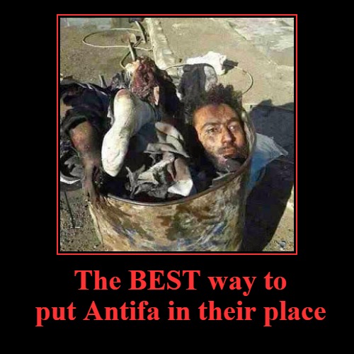 The BEST way to put Antifa in their place | The BEST way to put Antifa in their place | | image tagged in funny,demotivationals,antifa,human waste,human garbage,crush the commies | made w/ Imgflip demotivational maker